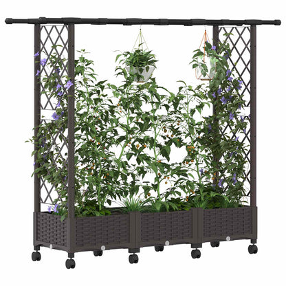 Cama Elevada Con Trellis Y Techo Marrón 164 X 40 X 127 Cm Pp_2