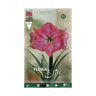 Bublo Amarillis rosa Elite 1 unid.