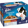 FELIX Duo Festa de Sabores em Gelatina 12x85g