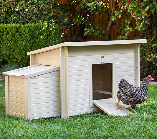Gallinero Dallas Para Exterior - Capacidad 4-6 Gallinas - Ecoflex Material Sostenible Y Duradero. Fácil Montaje._0