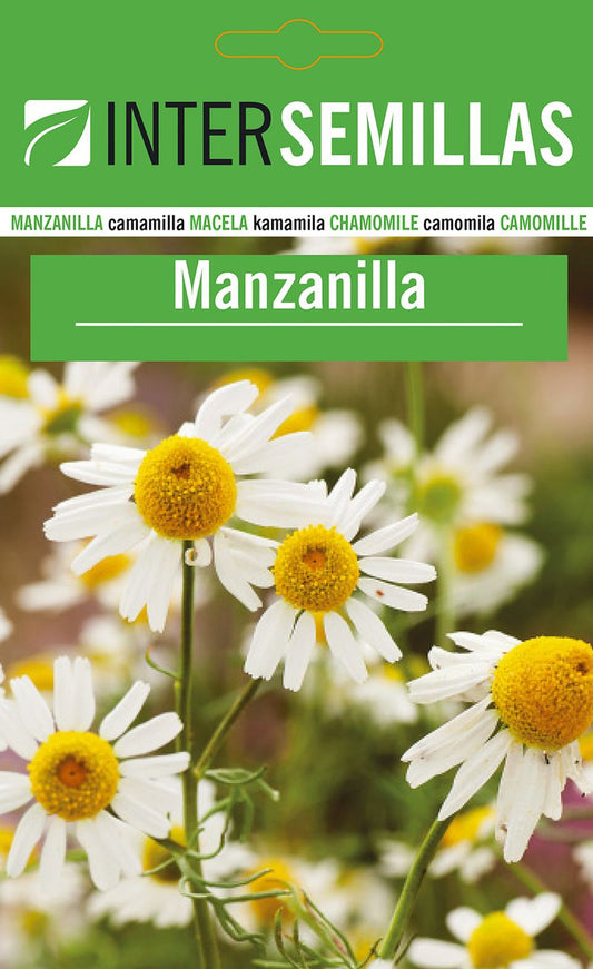 Sobre De Semillas De Manzanilla_0