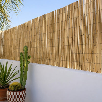 Cañizo Bambú Pelado Reedcane 1,5x5 M Nortene_2