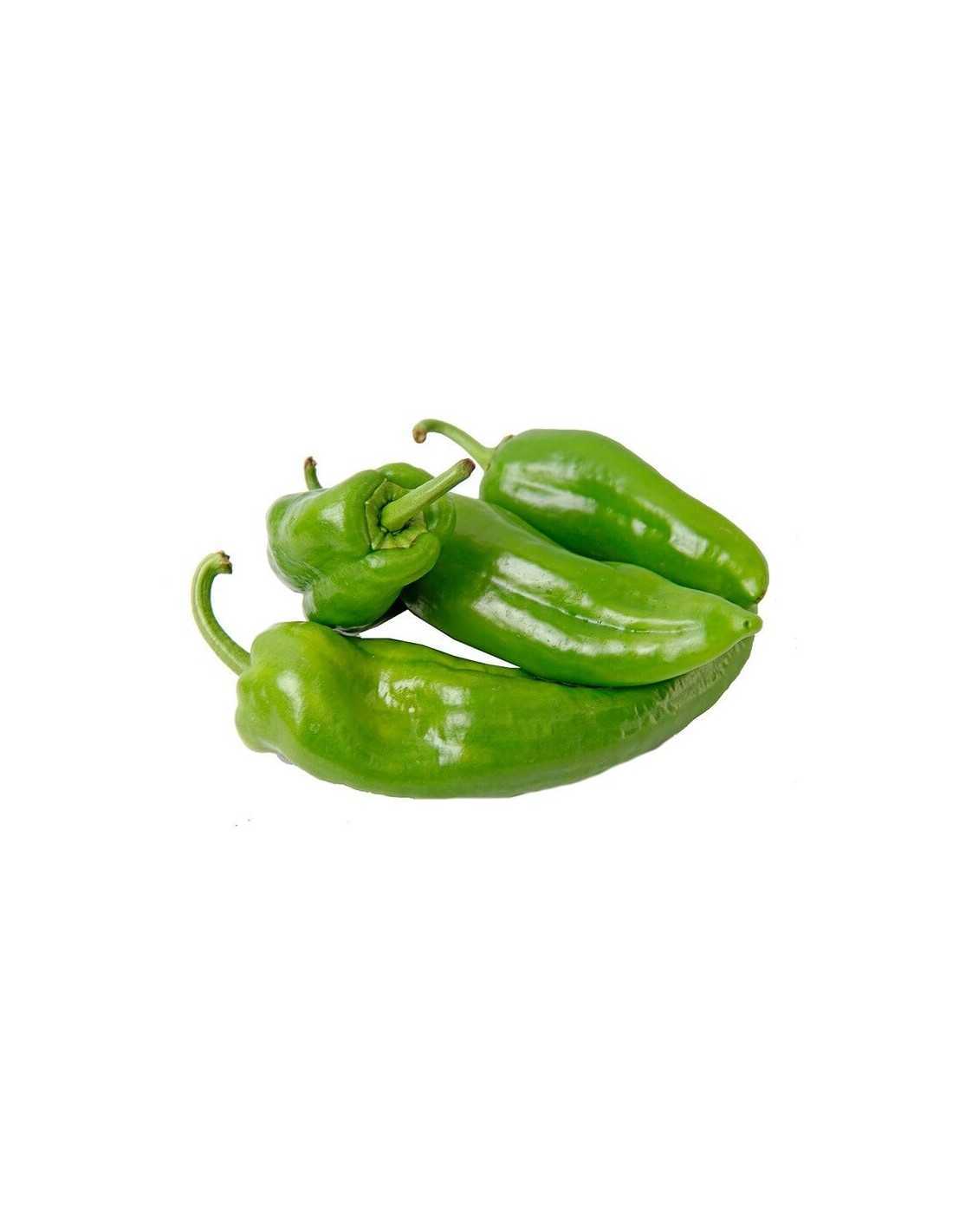 Pimiento Italiano Verde Bio - 500g_0