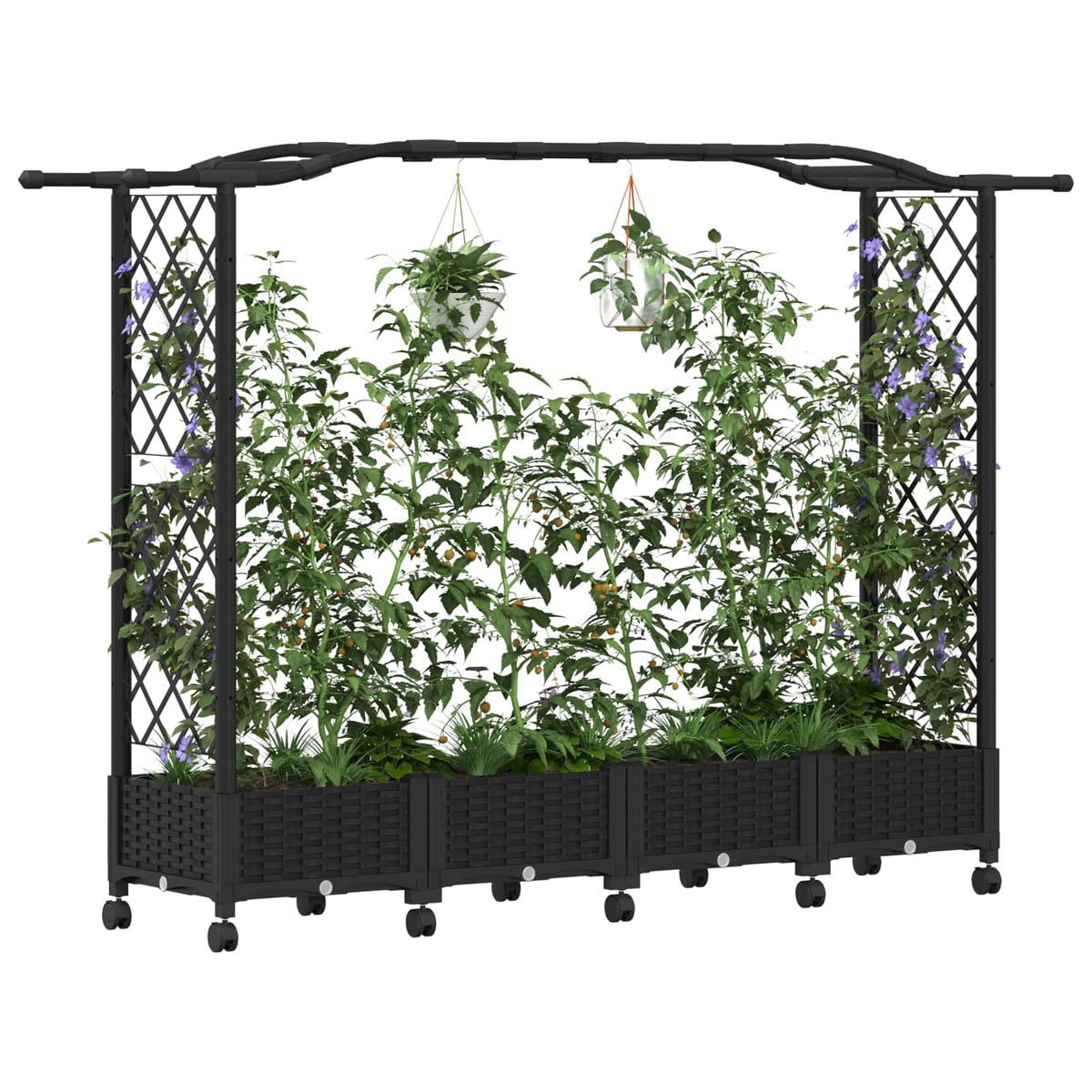 Cama Elevada Con Trellis Y Techo Negro 207 X 40 X 129 Cm Pp_2