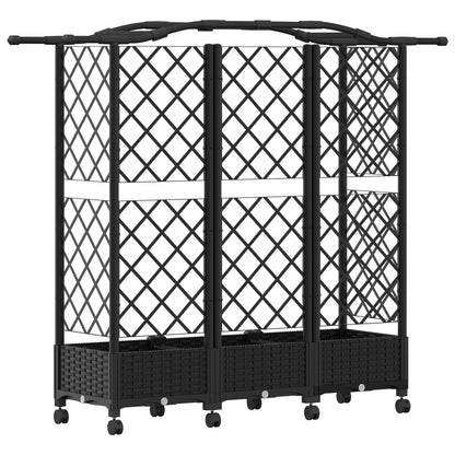 Cama Elevada Con Trellis Y Techo Negro 163 X 40 X 129 Cm Pp_4