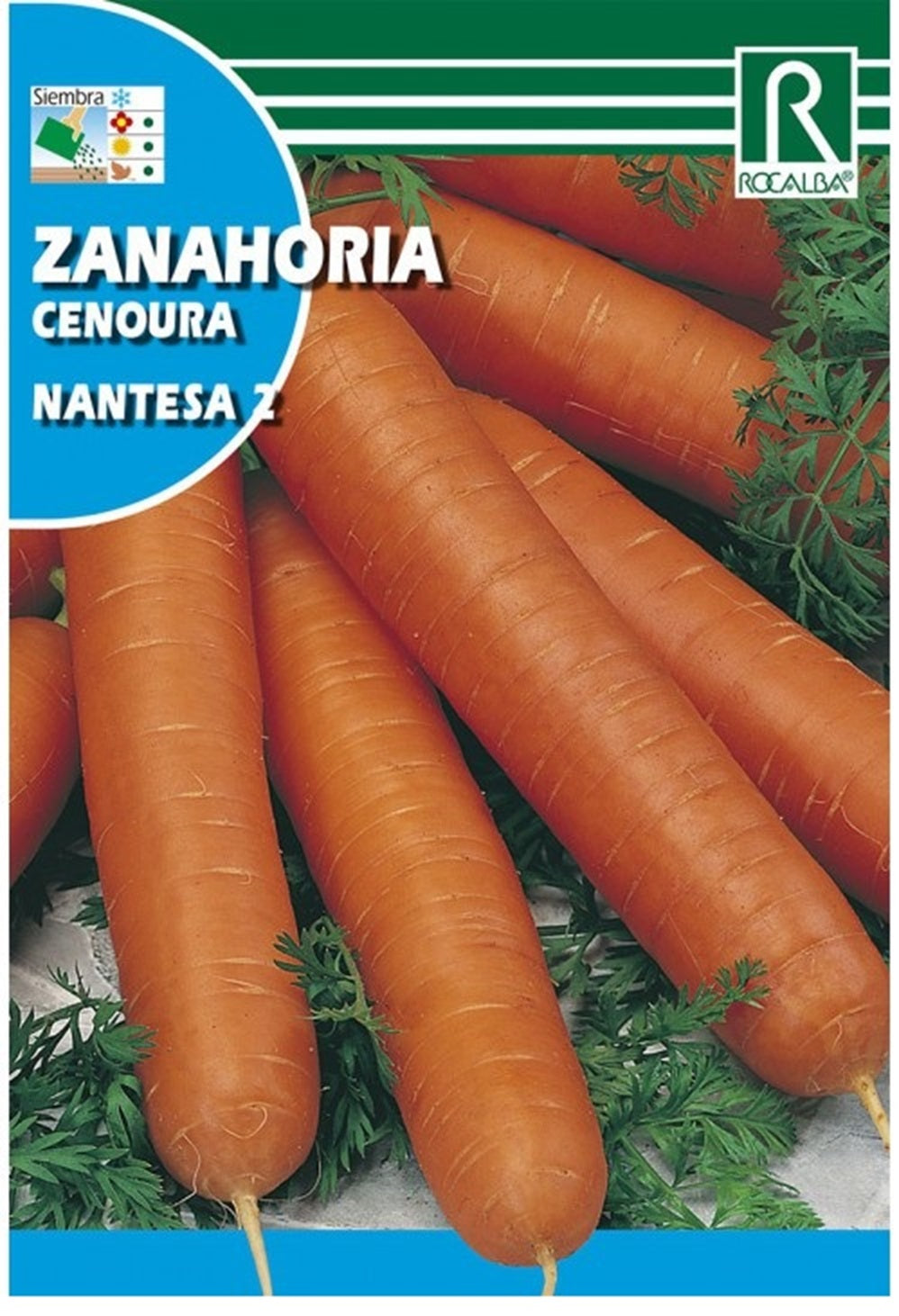 Semillas Zanahoria nantesa 25g_0