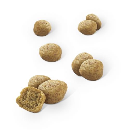 Dentalife Salmão Petisco Dentário para Gatos 40 g