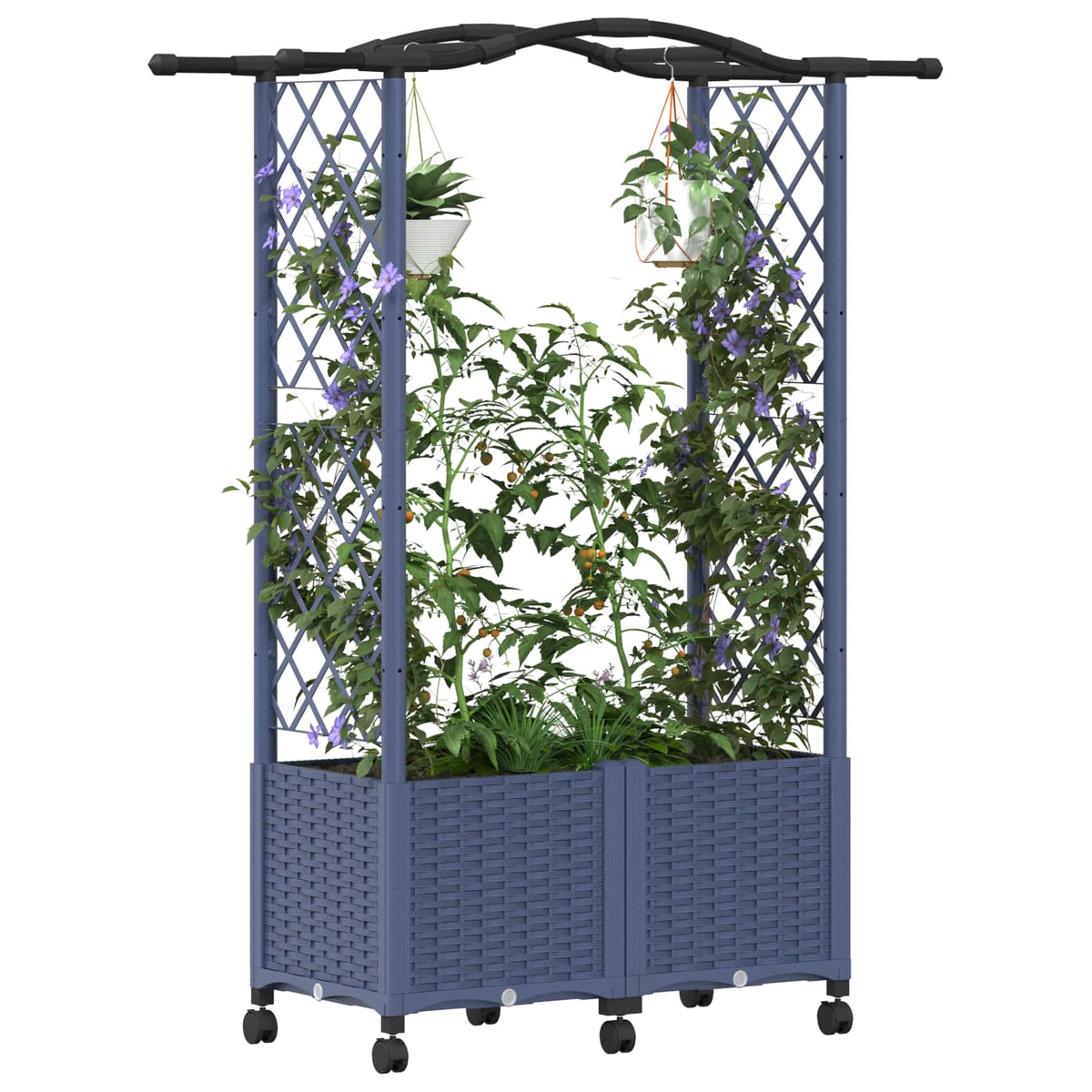Cama Elevada Con Trellis Y Techo Gris 125 X 40 X 144 Cm Pp_2