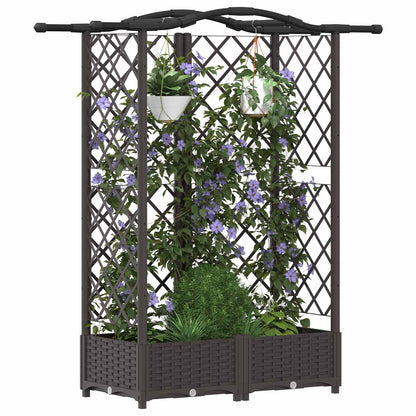 Cama Elevada Con Trellis Y Techo Marrón 124 X 40 X 123 Cm Pp_2