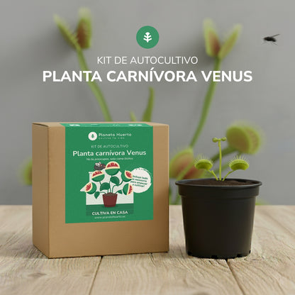 Kit de autocultivo para planta carnívora de dioneia Planeta Huerto