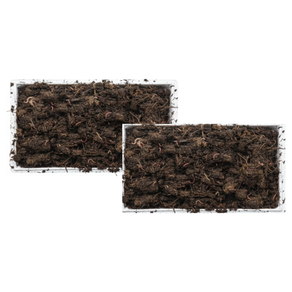 2 Cajas Para Compostador (lombriz Roja De California)_0