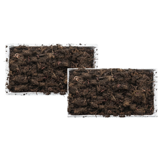 2 Cajas Para Compostador (lombriz Roja De California)_0