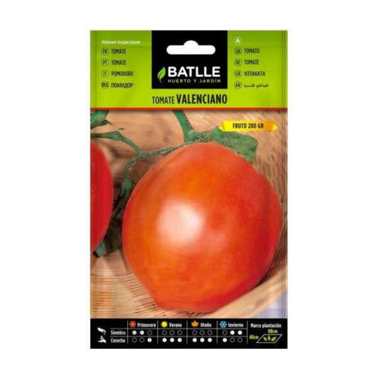 Sementes de tomate valenciano Batlle