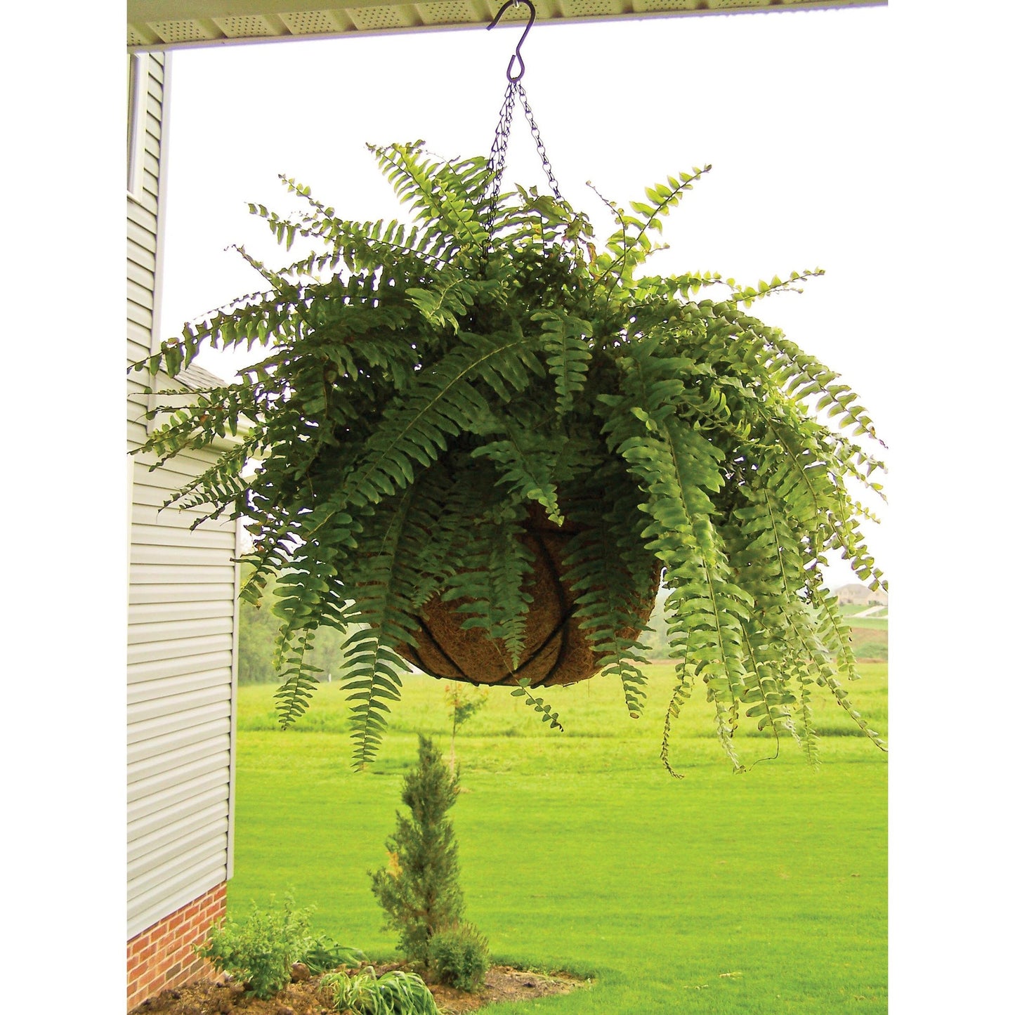 Cesto redondo suspenso Ø25 cm