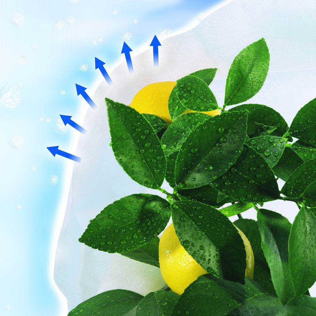 Capa de hibernação anti-gelo Hiversac Deco Nortene, 3 unid.