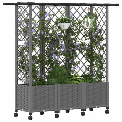 Cama Elevada Con Trellis Y Techo Gris Claro 163,5 X 40 X 142 Cm_2