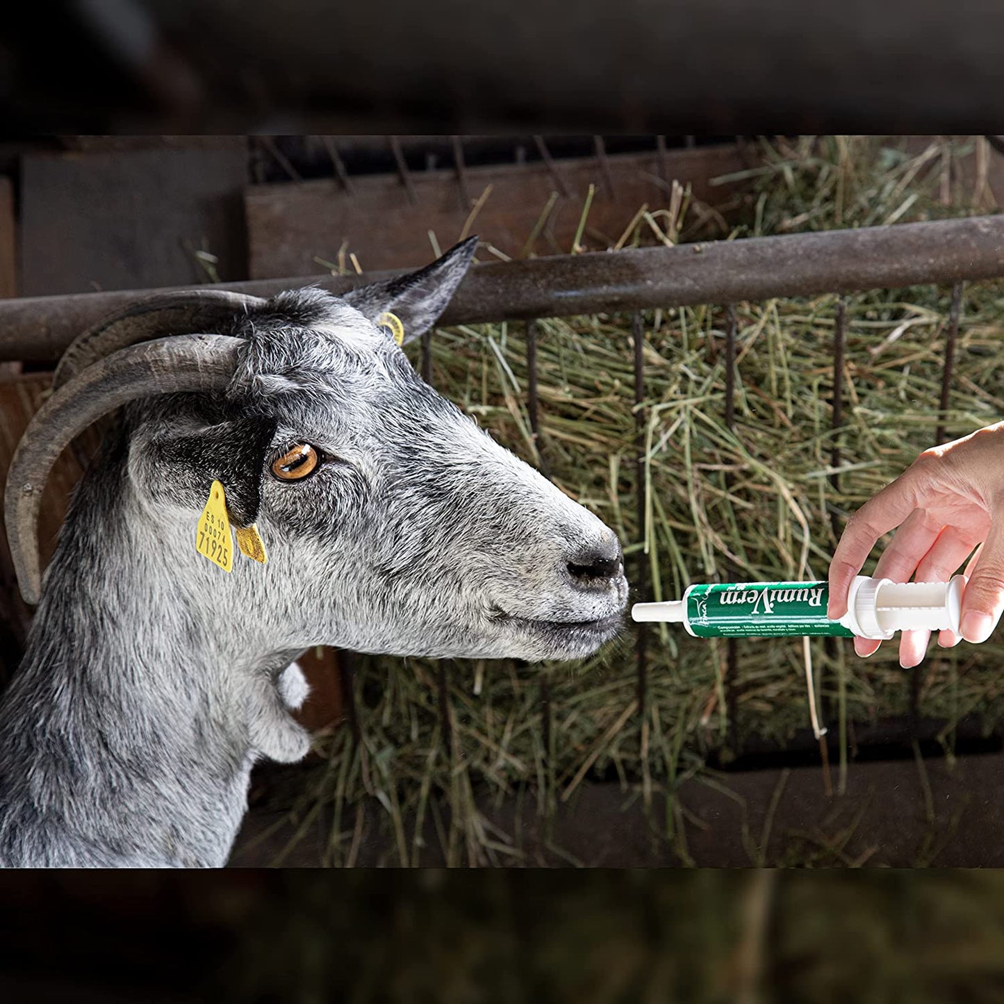 RumiVerm (30ml) - Complemento nutricional en pasta para cabras, ovejas y otros rumiantes – Apoyo digestivo_3