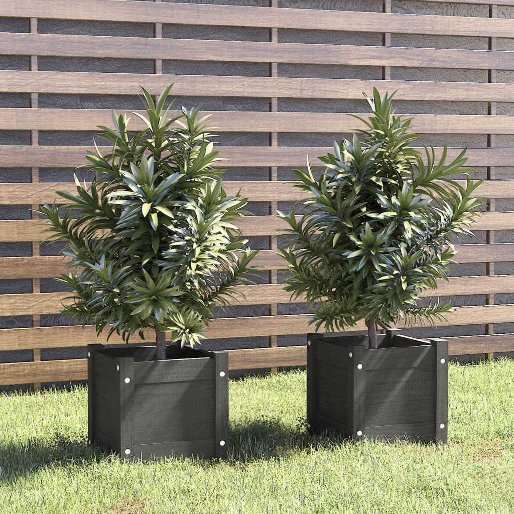 Jardineras 2 Uds Madera Maciza De Pino Gris 31x31x31 Cm_1