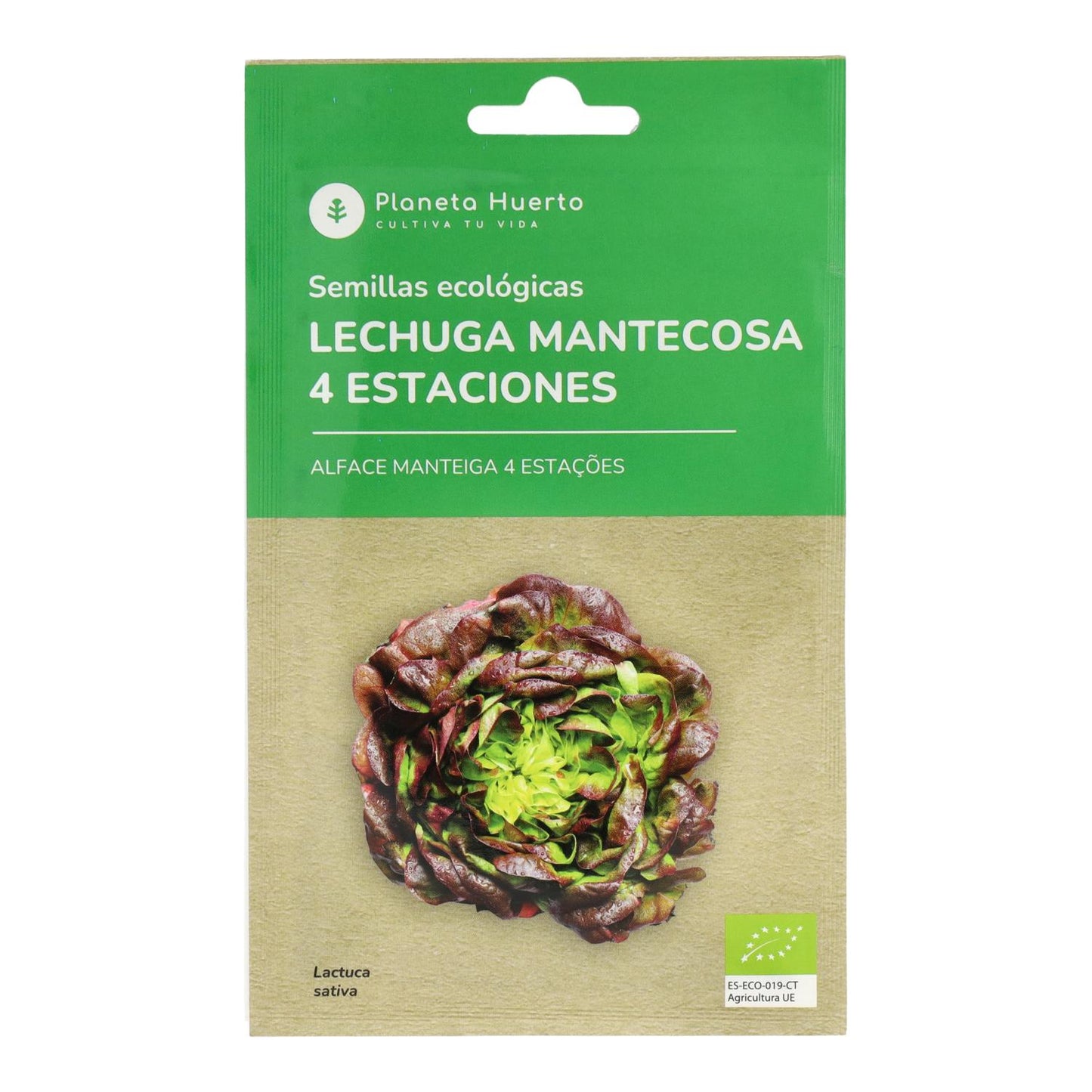 Sementes de alface butterhead orgânicas de 4 estações da Planeta Huerto
