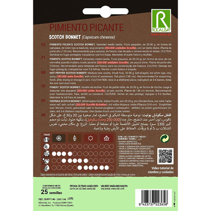 Sementes de pimento Scotch Bonnet Rocalba