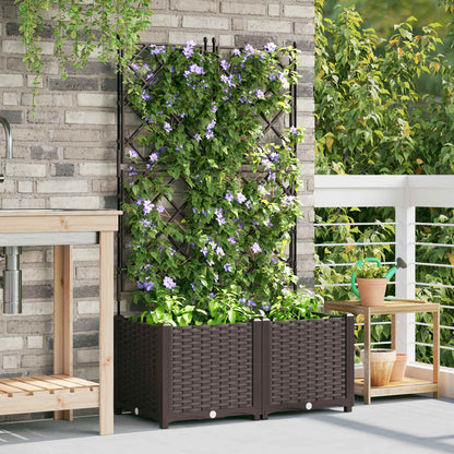 Macetero De Jardín 2 Uds. Marrón 80 X 40 X 143 Cm Pp_2