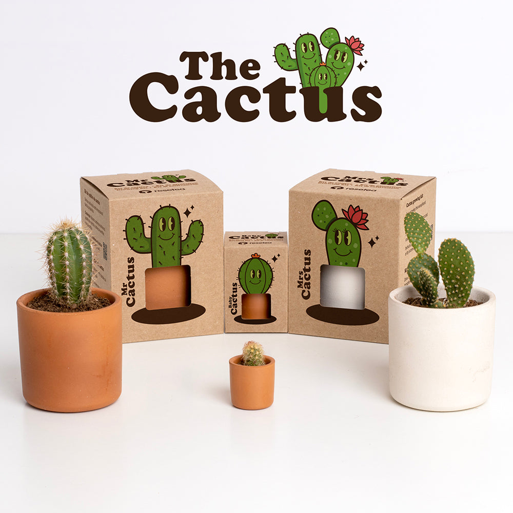 Baby Cactus Kit de Cultivo de Cactus con Maceta de Barro Artesanal | Regalo Original - Resetea_3