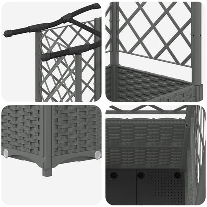 Cama Elevada Con Trellis Y Techo Gris Claro 163 X 40 X 138 Cm_5