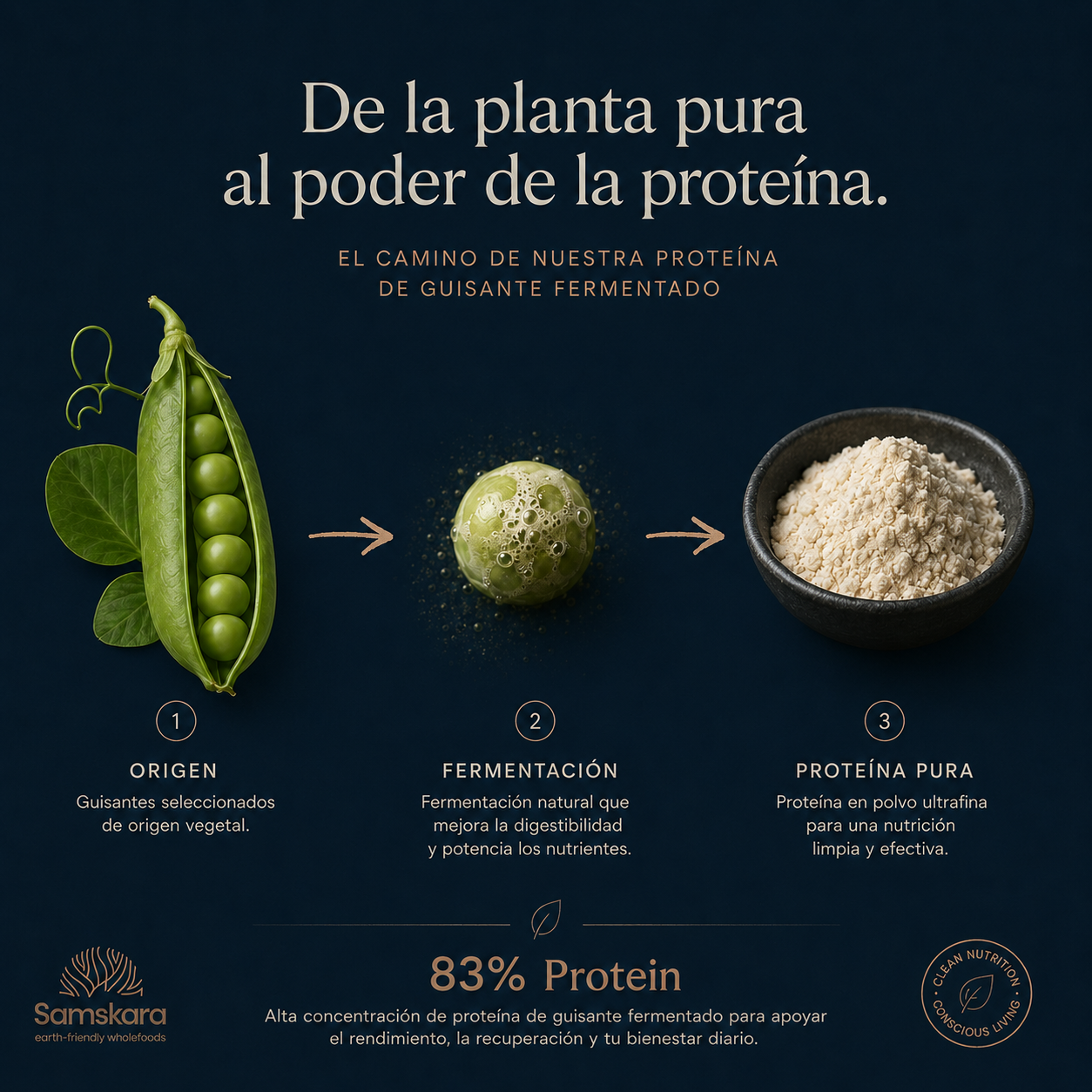 Proteína De Guisante Fermentada Bio - 3kg | Proteína Vegetal Ecológica Vegana Para Batidos Y Repostería_4