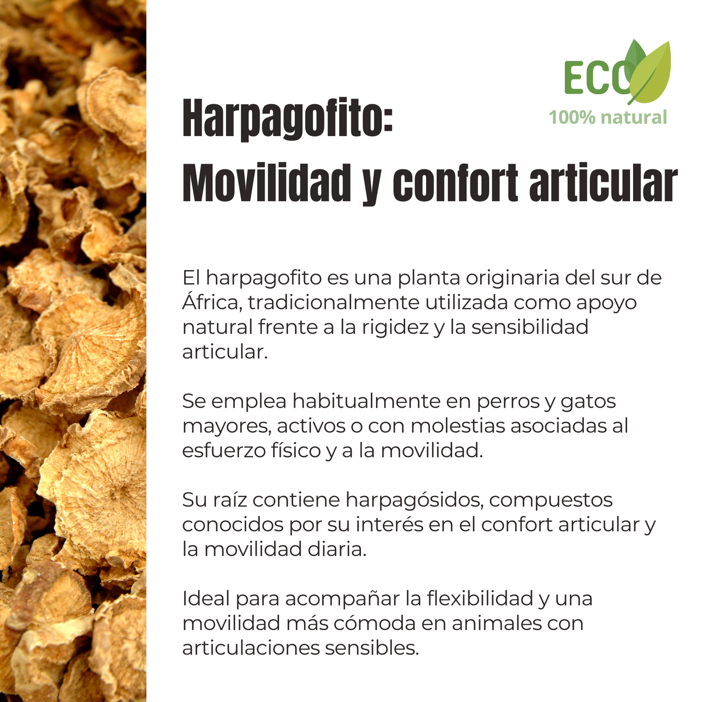 Harpagofito ECO para perros y gatos – Confort articular – 100 g_2