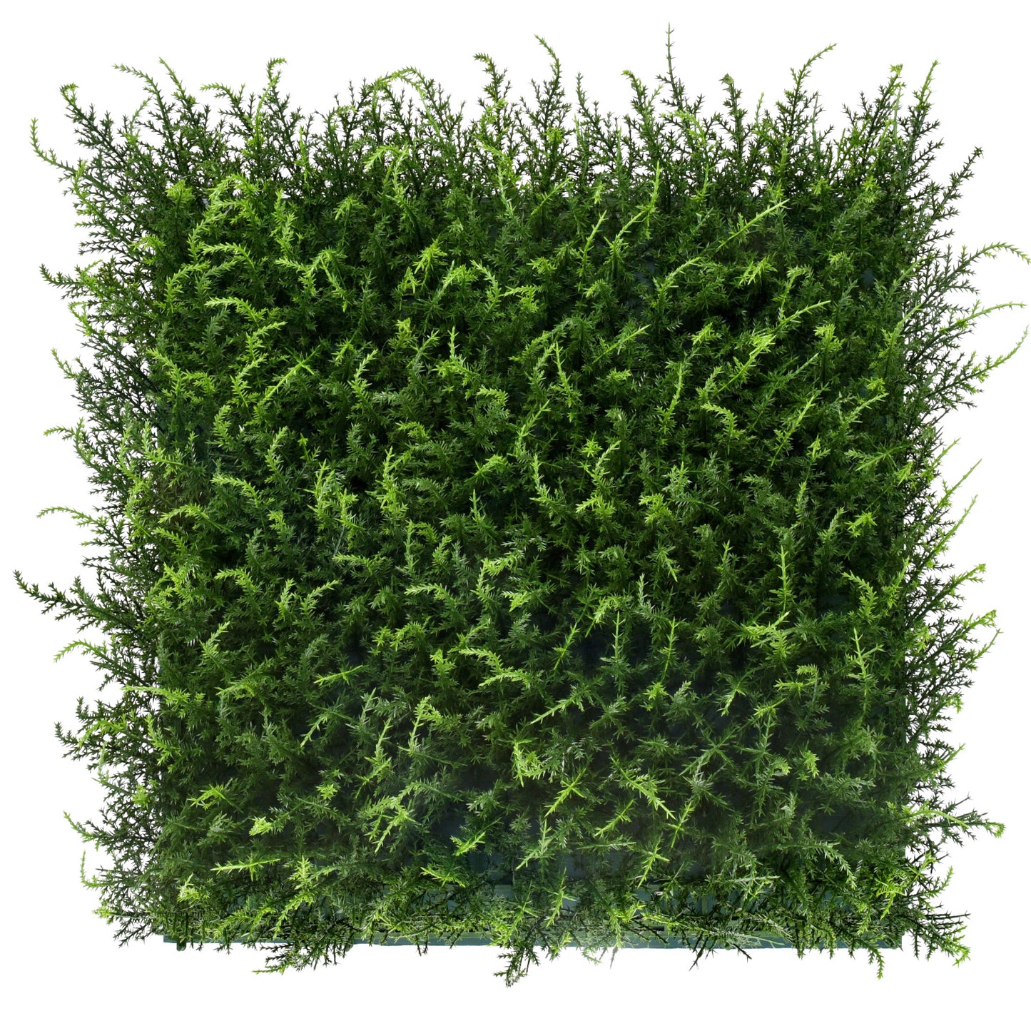 Bonerva | Jardín Vertical Halepensis | Pack 4 Piezas 50x50cm_0