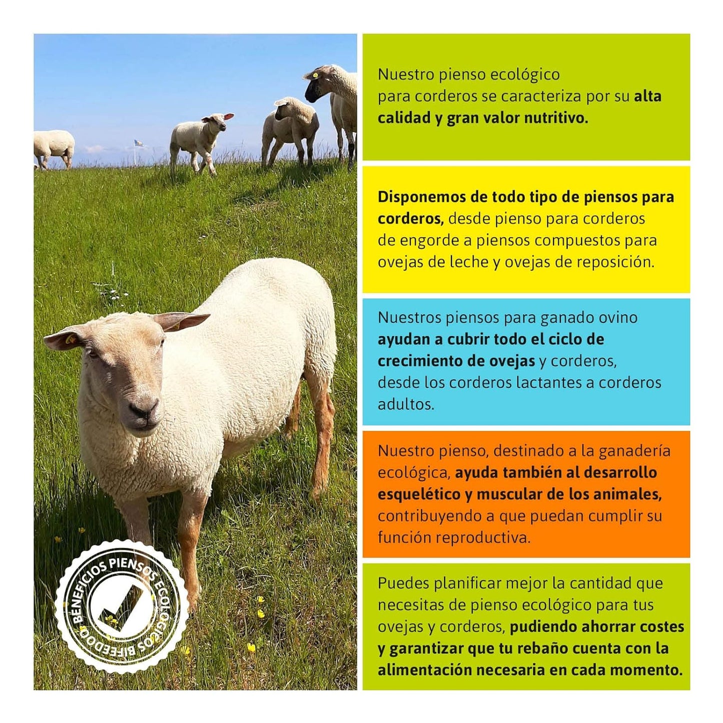 Pienso ECOLÓGICO para Ovejas Reposición 20kg – Alimentación Natural y Equilibrada_3