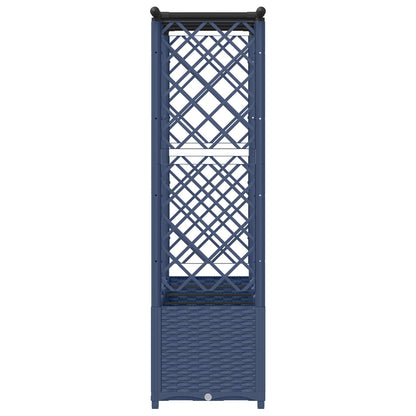 Cama Elevada Con Trellis Y Techo Gris 203 X 40 X 136 Cm Pp_4