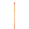 Lápis Delineador de Lábios Nº 03 Playful Rose Santé 1,14 g