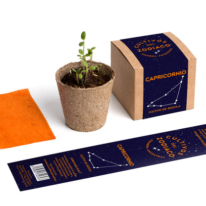 Cultivos del Zodiaco – Capricornio, Kit de Cultivo con Semillas de Rúcula - Resetea_4