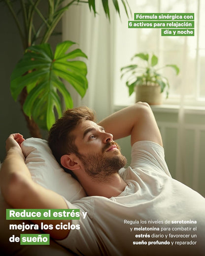 Triptófano Con Melatonina Y Magnesio Para Sueño Reparador Nutribrain 70 Comprimidos_1