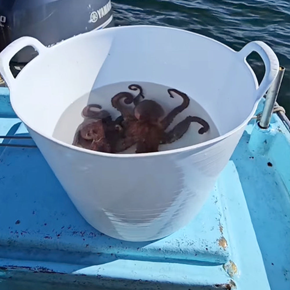 Capazo De Plástico Flexible Para Uso Alimentario. Asa Reforzada (blanco, 42l). Sin Bpas. Restaurantes, Vendimia..._1