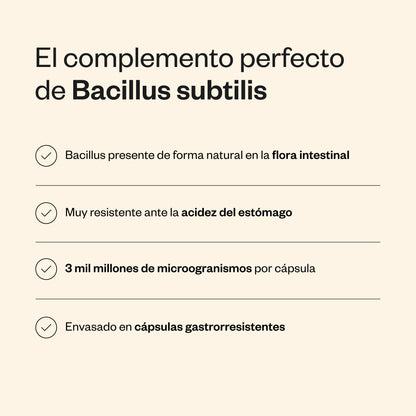 Bacillus Subtilis_3