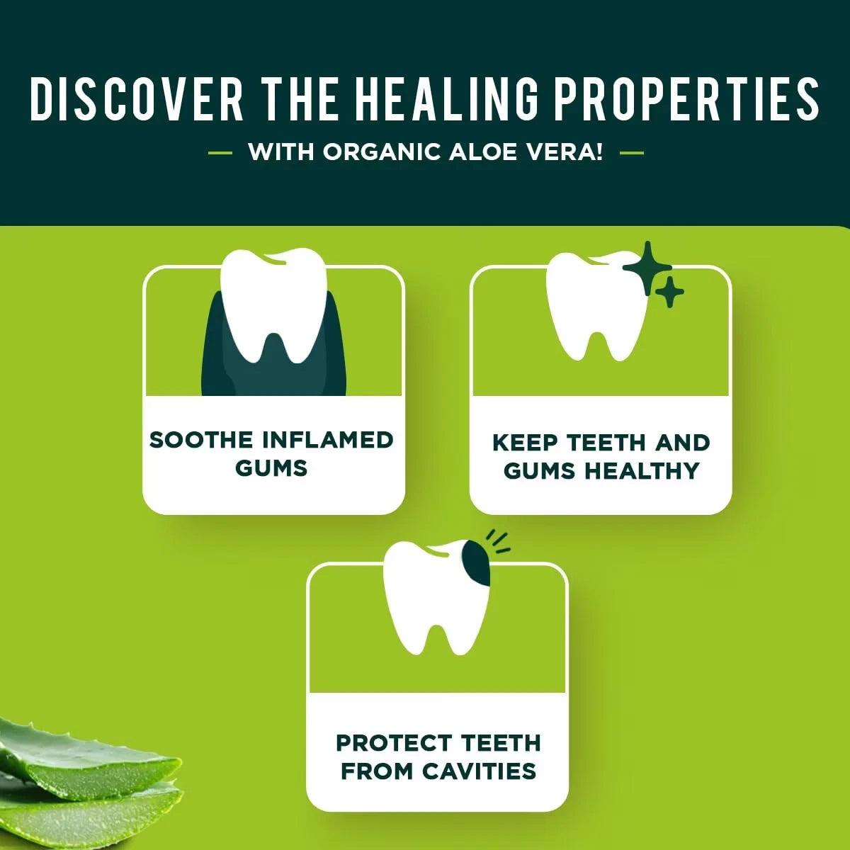 Pasta de dentes ayurvédica com aloé vera 100ml