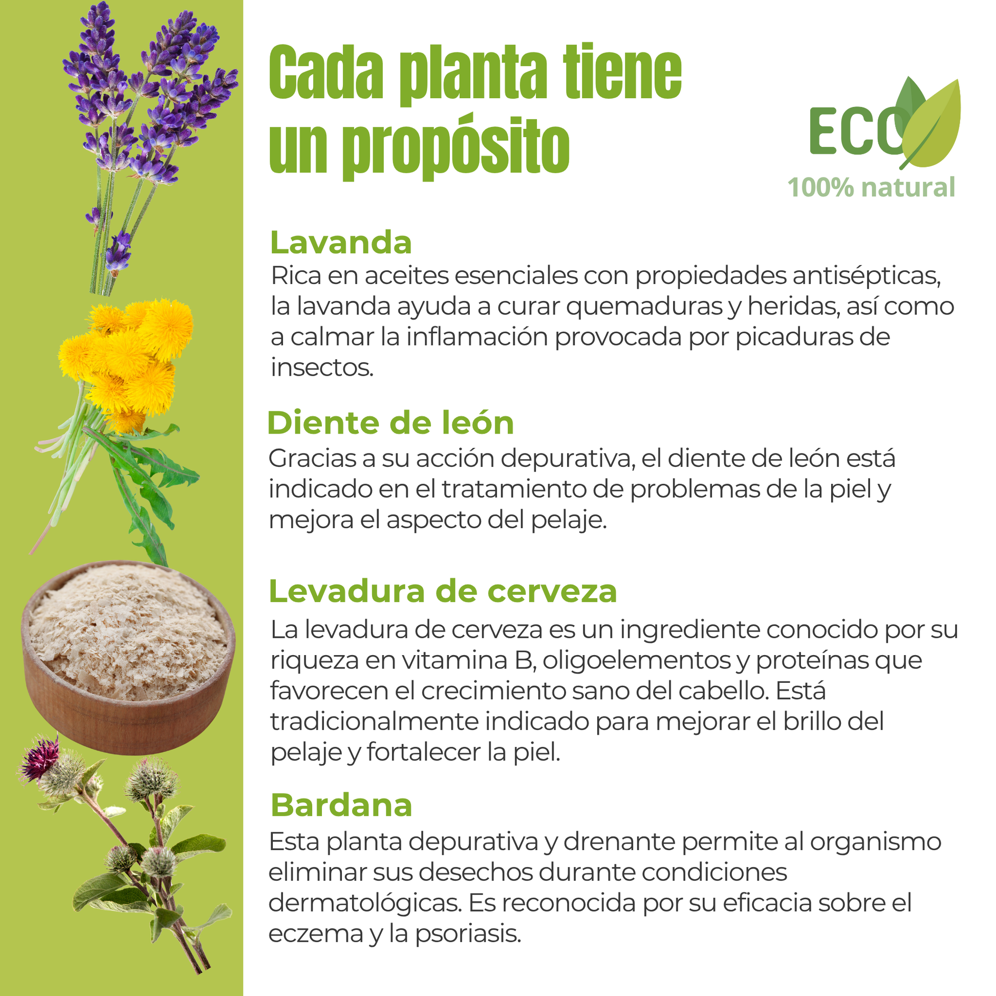 Suplemento natural para el cuidado de la piel de perros y gatos – ECO 100 g_2