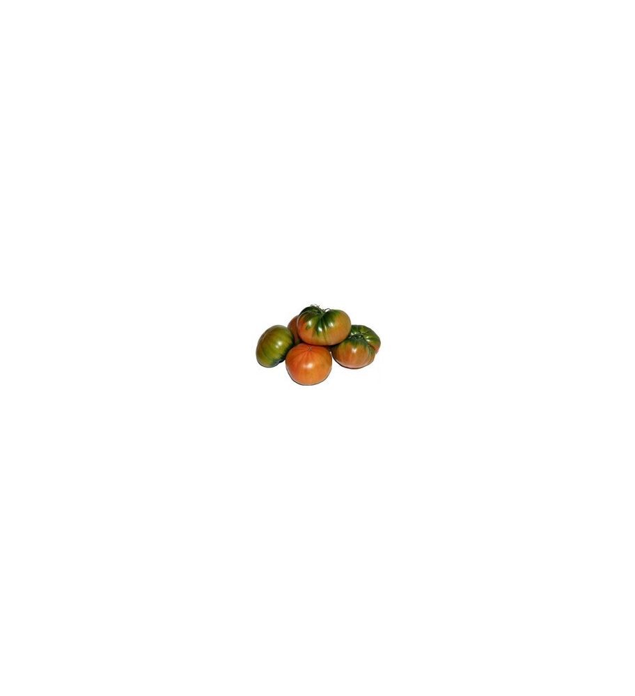Plantón Tomate Muchamiel (10 Unidades)_1