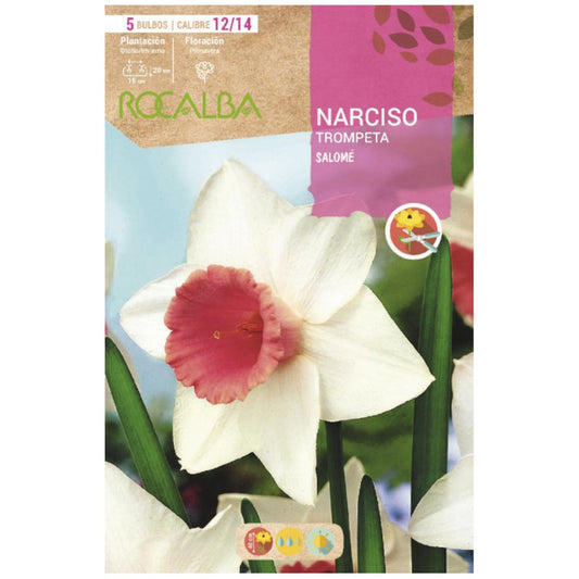 Bulbo de trombeta Narciso Salomé branco rosa 5 peças Rocalba