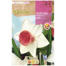 Bulbo de trombeta Narciso Salomé branco rosa 5 peças Rocalba