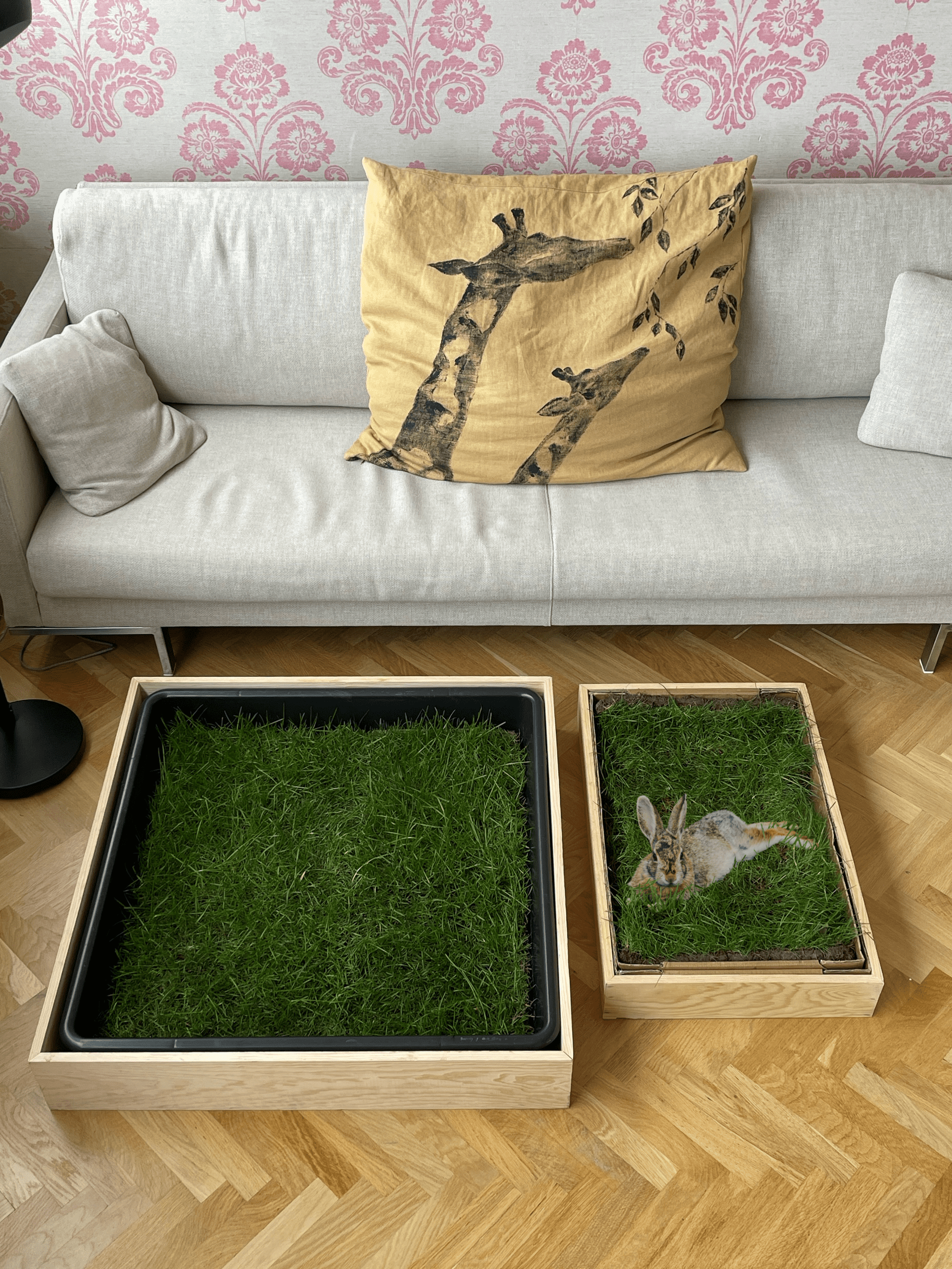 Petground, Cama Para Conejos, Caja De Madera, Accesorio, Mueble Xl: 120 X 42 Cm_3