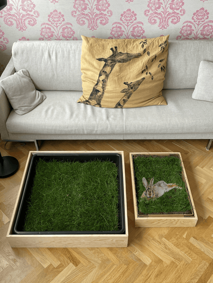 Petground, Cama Para Conejos, Caja De Madera, Accesorio, Mueble Xl: 120 X 42 Cm_3