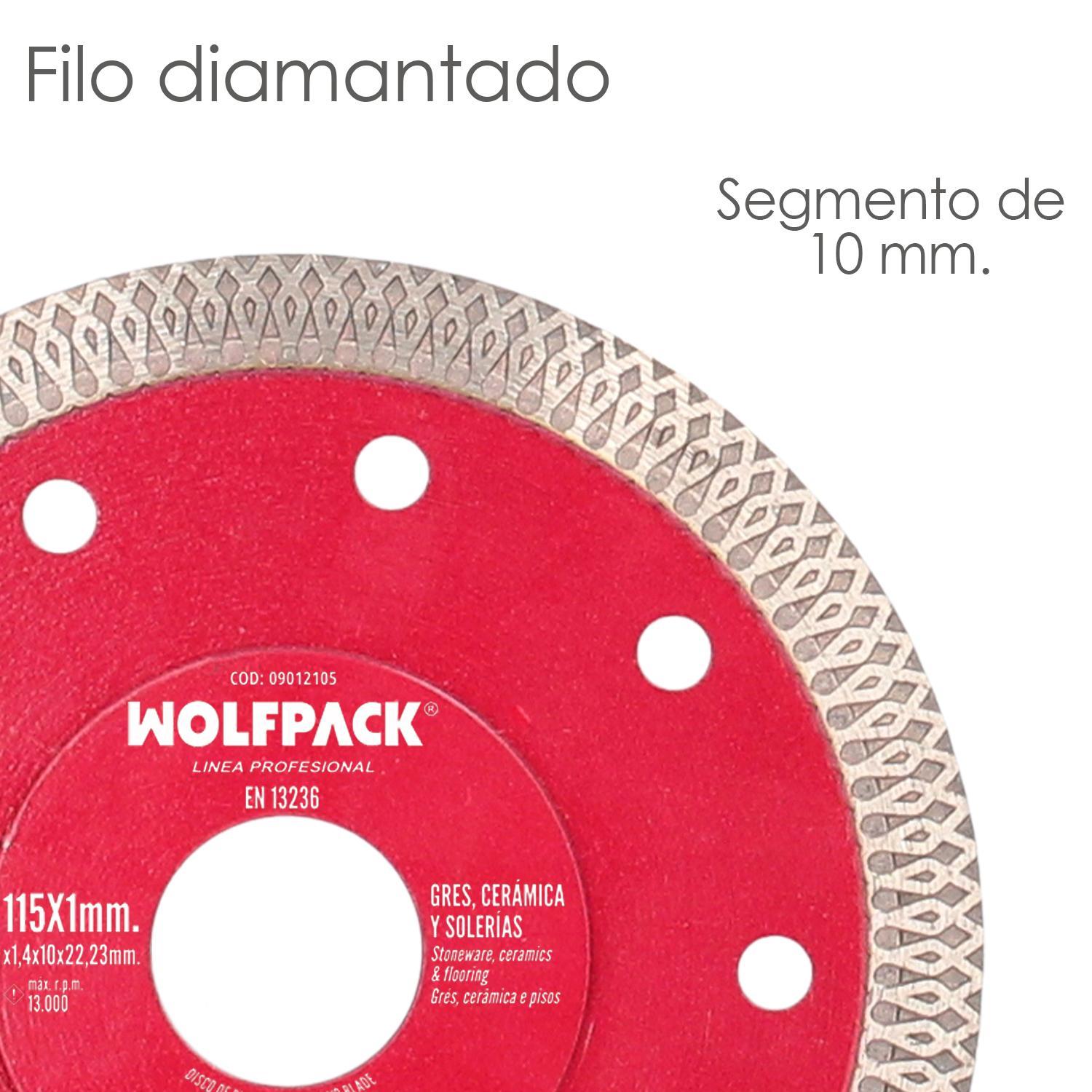Disco Diamante Ø 115 Mm. Porcelanicos, Gres, Ceramica, Solerias. Segmento Diamantado 10 Mm._3