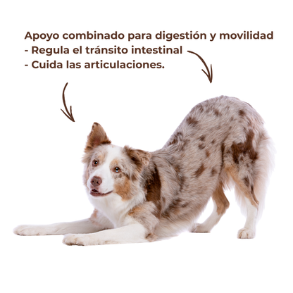 Cuidado Completo De Articulaciones Y Digestión Para Perros Y Gatos_3