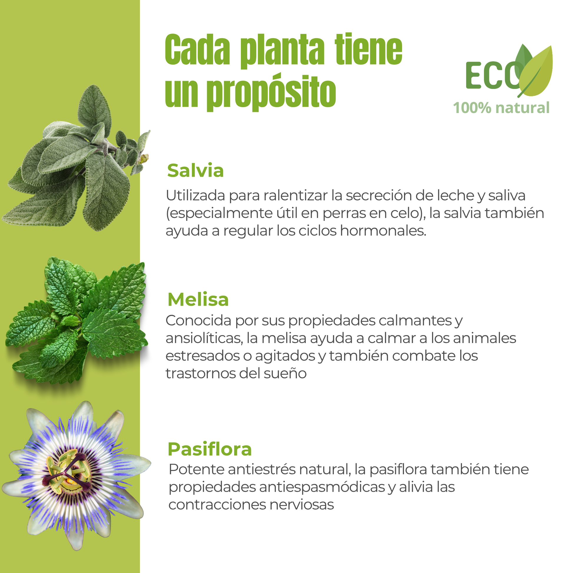 Suplemento natural para el equilibrio hormonal de perros y gatos – ECO 100 g_2