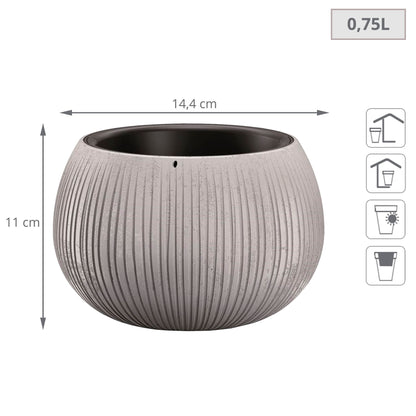 Prosperplast Beton Bowl De Plástico Con Depósito En Color Cemento, 11 (alto) X 14,4 (ancho) X 14,4 (profundo) Cms