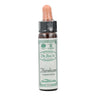 Bach Hornbeam-Carpe/Hojaranzo 10Ml Santiveri