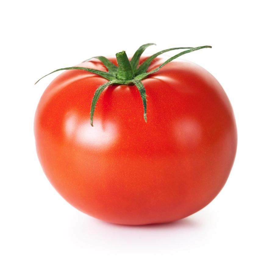Mudas de Tomate Tradicional, 6 unidades, Linha Tradicional